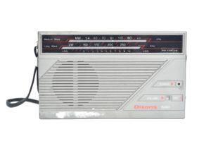 Dixons R490